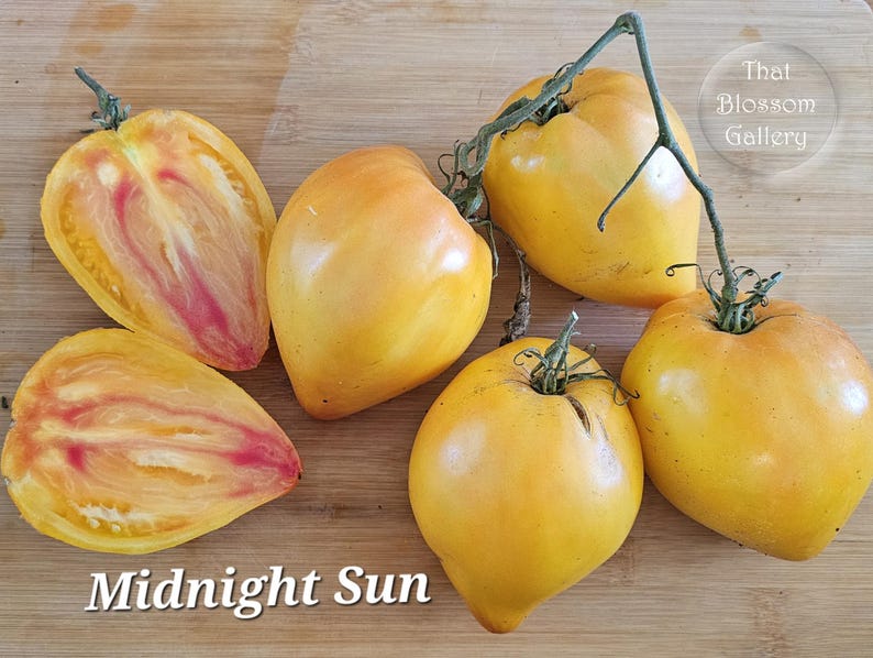 May include: Five yellow and orange heirloom tomatoes, called Midnight Sun, on a wooden surface. The tomatoes are halved, showing the inside of the fruit.