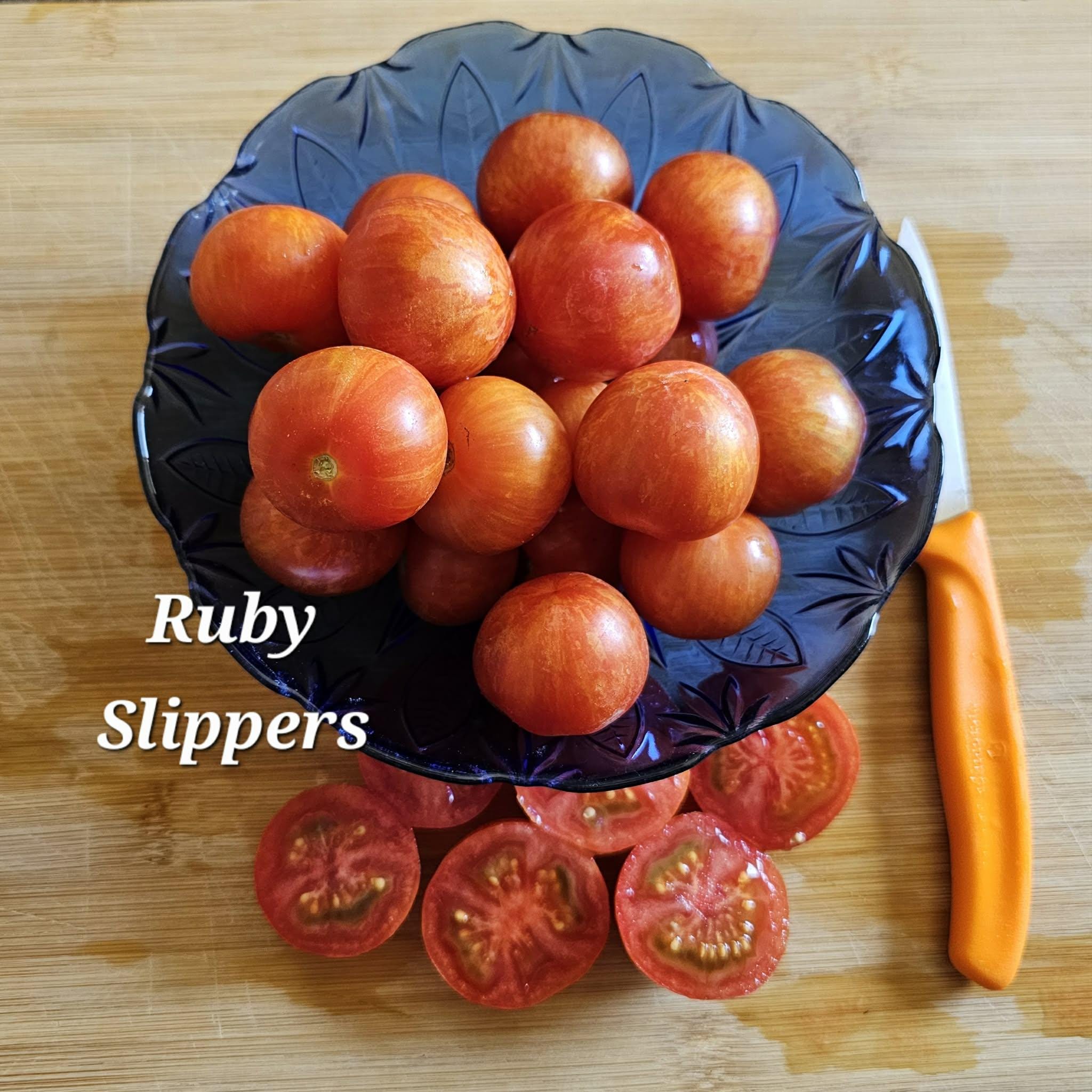 Wizard of Oz Dwarf Tomato Seed Collection: Ruby Slippers, Emerald