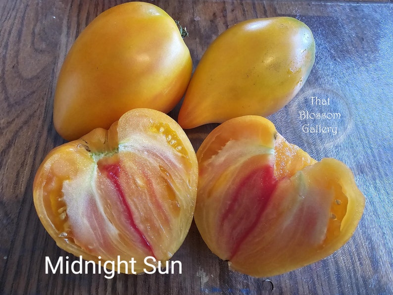 May include: Four yellow tomatoes, two whole and two halved, showing the red flesh inside. The tomatoes are labeled "Midnight Sun".