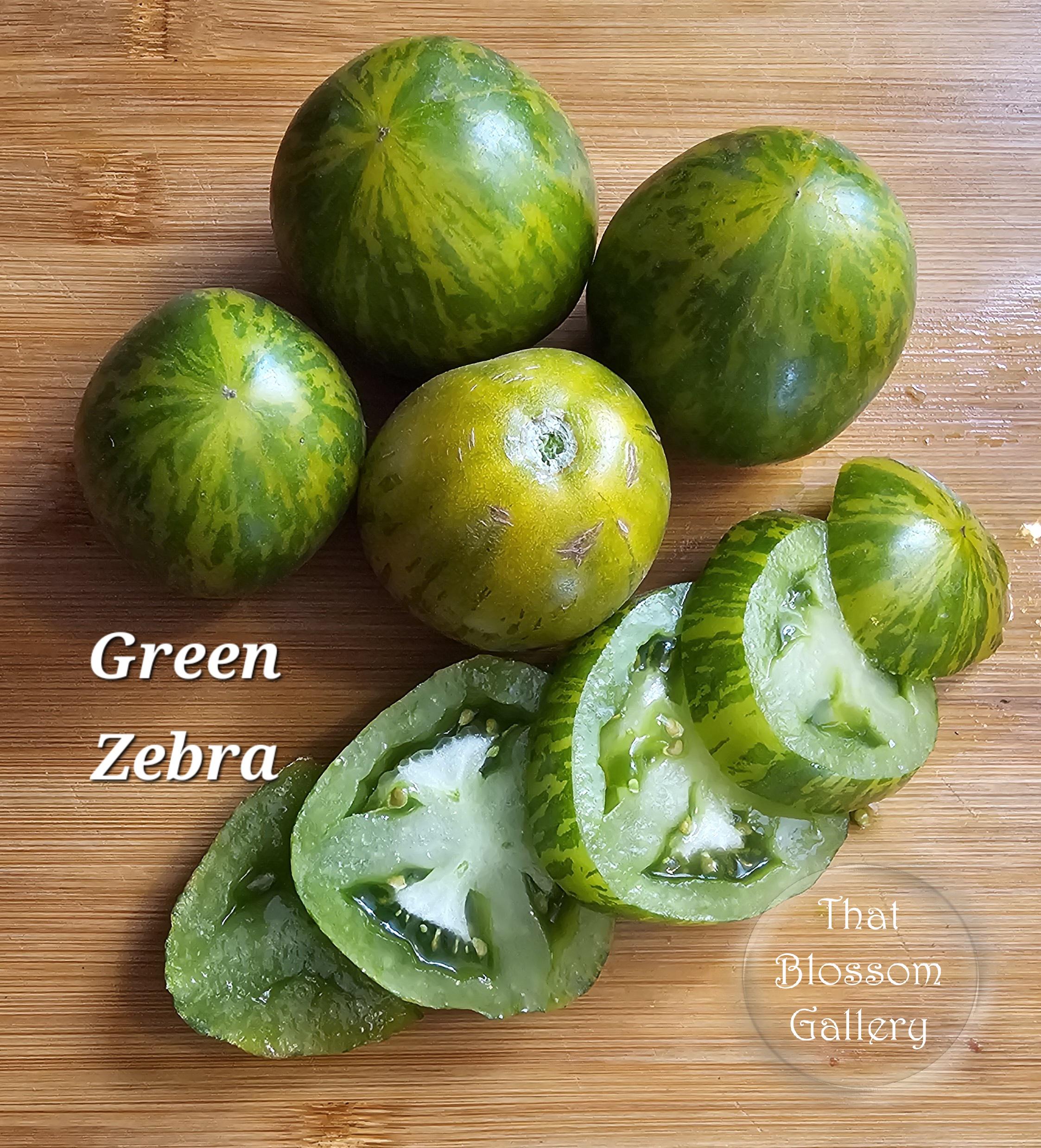 Green Zebra Tomato, 10 Seeds - Etsy