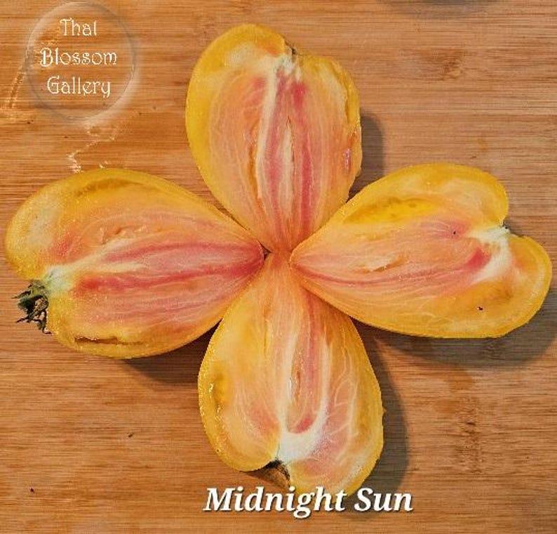 May include: Close-up of a yellow and pink tomato cut into four sections, arranged in a flower shape. The tomato is labeled "Midnight Sun".