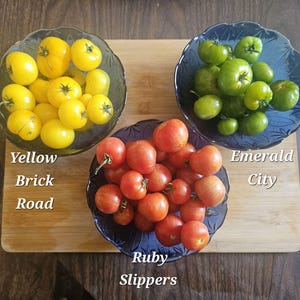 May include: Three bowls of tomatoes on a wooden cutting board. One bowl contains yellow tomatoes labeled "Yellow Brick Road." Another bowl holds green tomatoes marked "Emerald City." The third bowl has red tomatoes, labeled "Ruby Slippers."