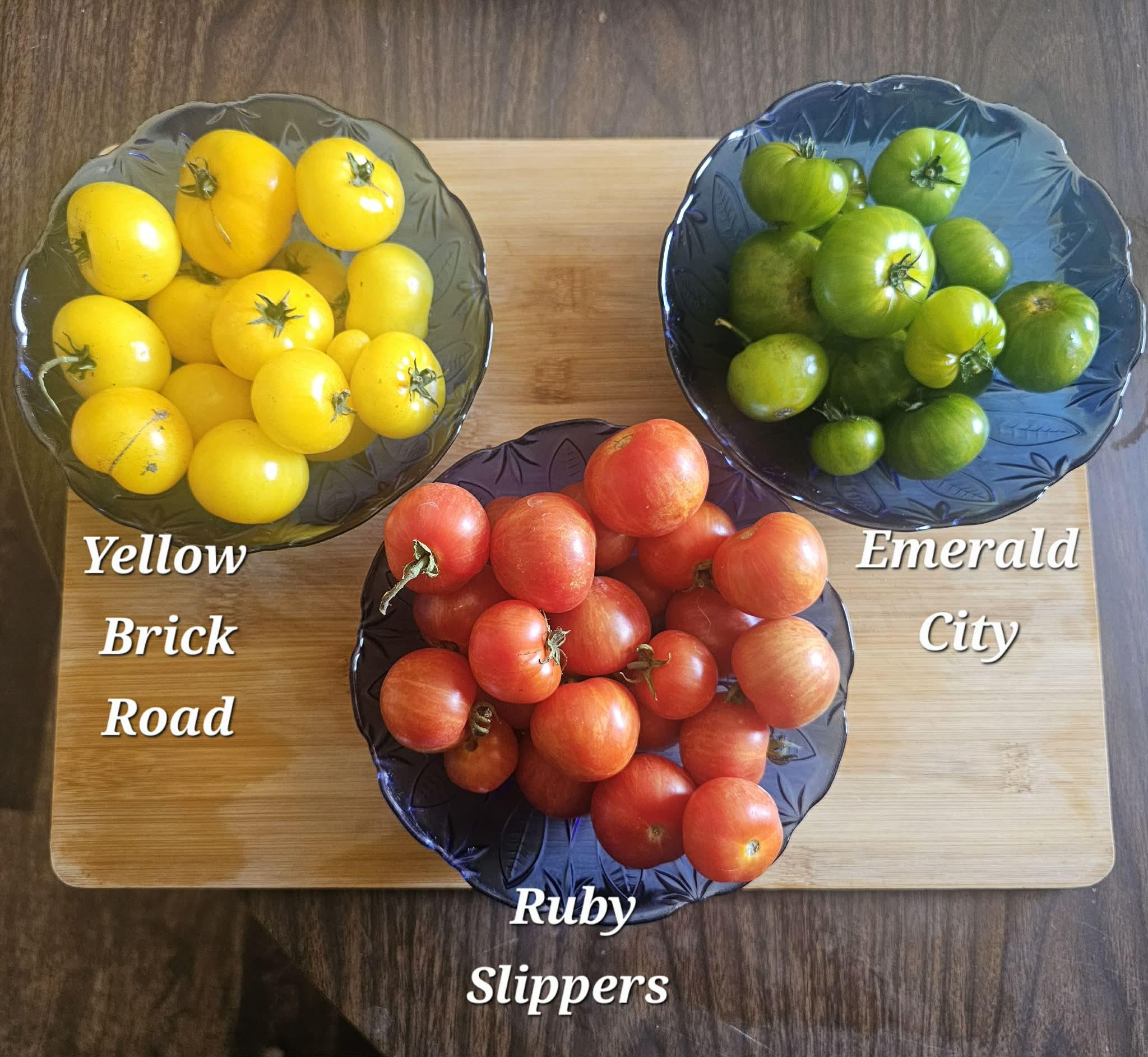 Wizard of Oz Dwarf Tomato Seed Collection: Ruby Slippers, Emerald