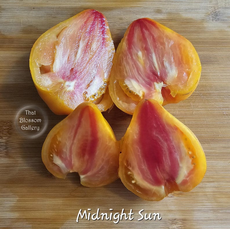 May include: Four halves of a yellow tomato with red streaks inside. The tomato variety is called "Midnight Sun".