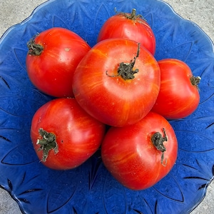 Siberische Appeltomaat, Tomato seeds