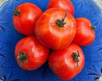 Siberische Appeltomaat, Tomato seeds