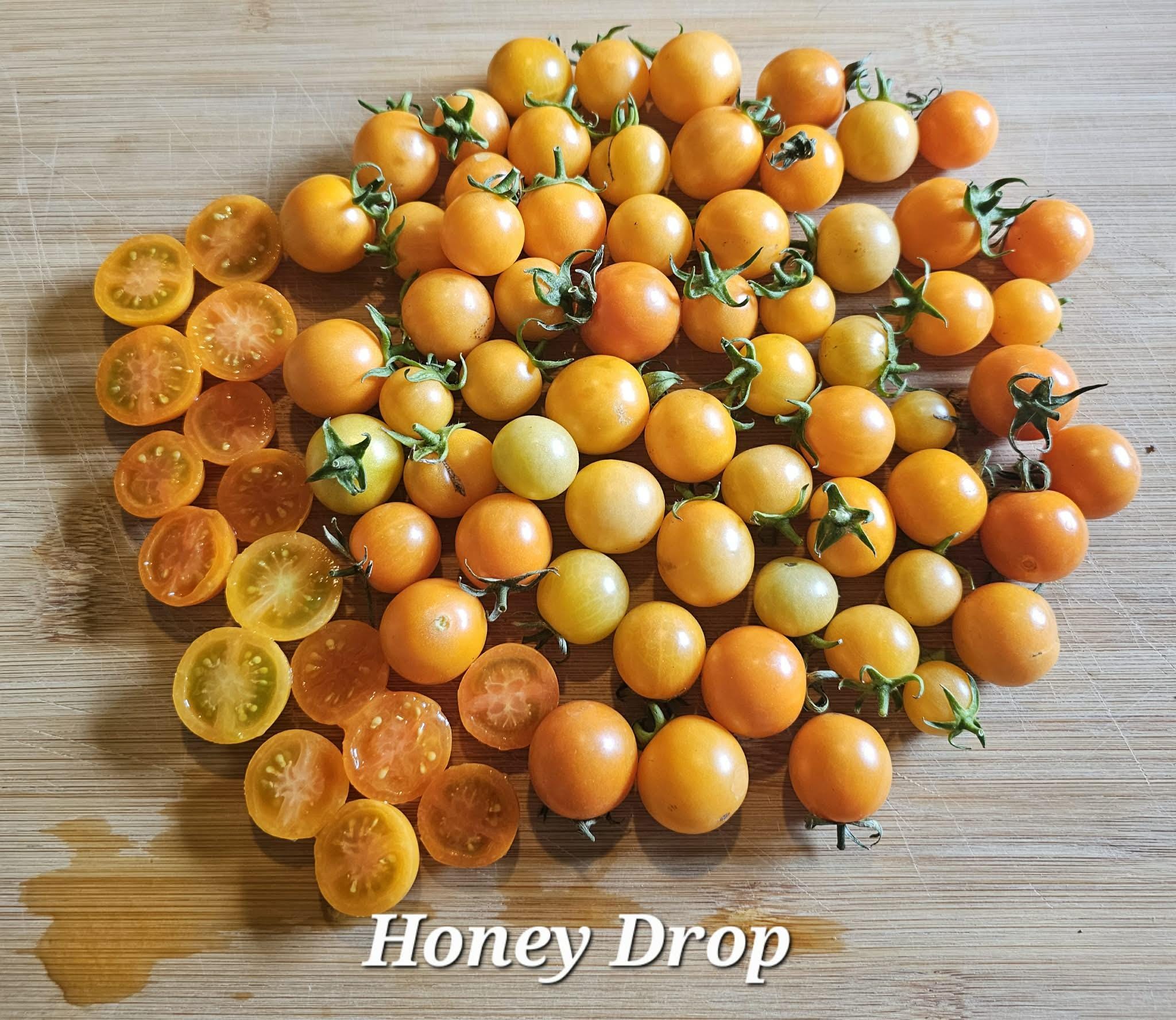 Honey Drop Cherry Tomato, 10 Seeds - Etsy