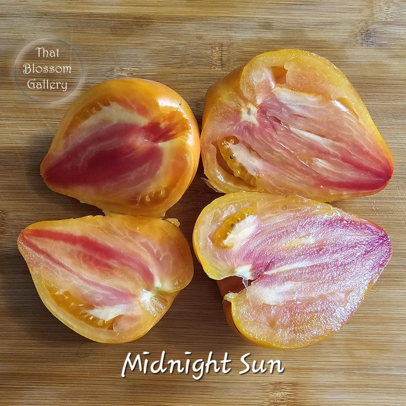 May include: Four halved yellow tomatoes with red streaks inside, on a wooden cutting board. The text "Midnight Sun" is written below the tomatoes.