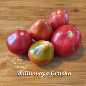 Malinovaya Grusha, AKA Raspberry Pear, Tomato Seeds