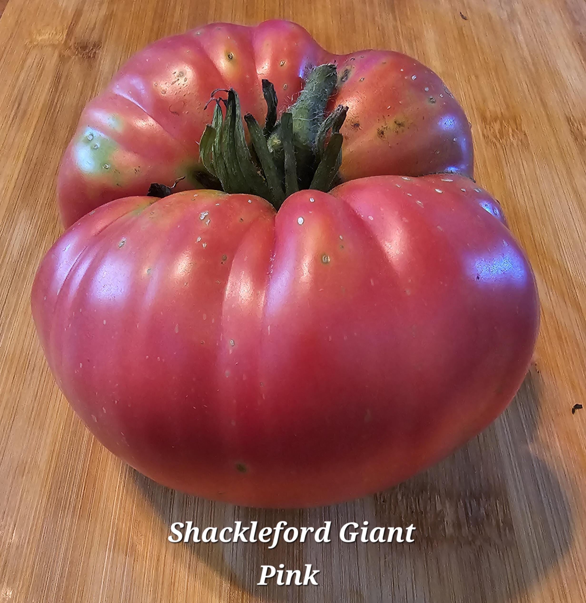il_fullxfull.6405493284_lcwc.jpg