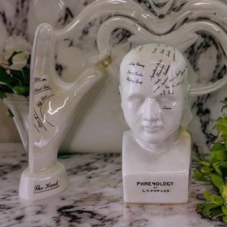 Ceramic Phrenology Small Head 19cm Miniature Decorative Etsy UK