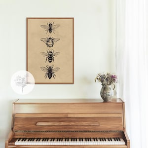 Vintage Bee Illustration Art Print | DIGITAL DOWNLOAD | Vintage Art | Modern Traditional Art Print | Nature | Minimalist | Home | Decor |