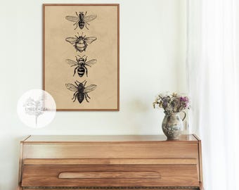 Vintage Bee Illustration Art Print | DIGITAL DOWNLOAD | Vintage Art | Modern Traditional Art Print | Nature | Minimalist | Home | Decor |