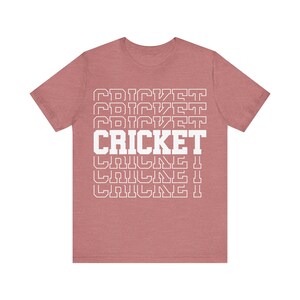 Unique Desi fashion cricket lover gift tshirt ideas, IPL/T20 world cup tees unisex Jersey Short Sleeve Tee