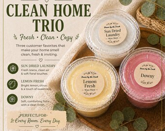 Paquete de ceras aromáticas Clean Home