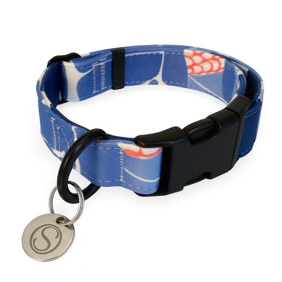 Neopren-Hundehalsband: Stella & Oscar, Modern Pet Apparel, schwarze  Schnalle, XS-XL - Etsy.de