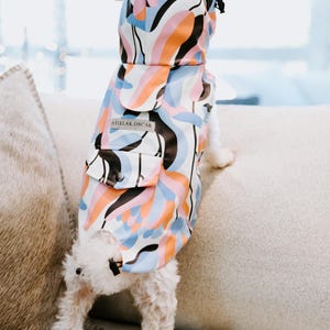 Könnte beinhalten: Ein weißer Hund trägt einen blauen, rosa und orangefarbenen Regenmantel mit Kapuze. Der Regenmantel hat eine Tasche mit dem Text "Stella & Oscar" darauf.