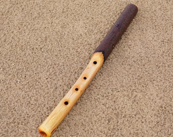 May include: A wooden flute featuring a two-toned design with a dark brown, textured bark handle and a smooth, light tan body. The instrument has four circular finger holes aligned along the front and a hollow opening at the bottom end.