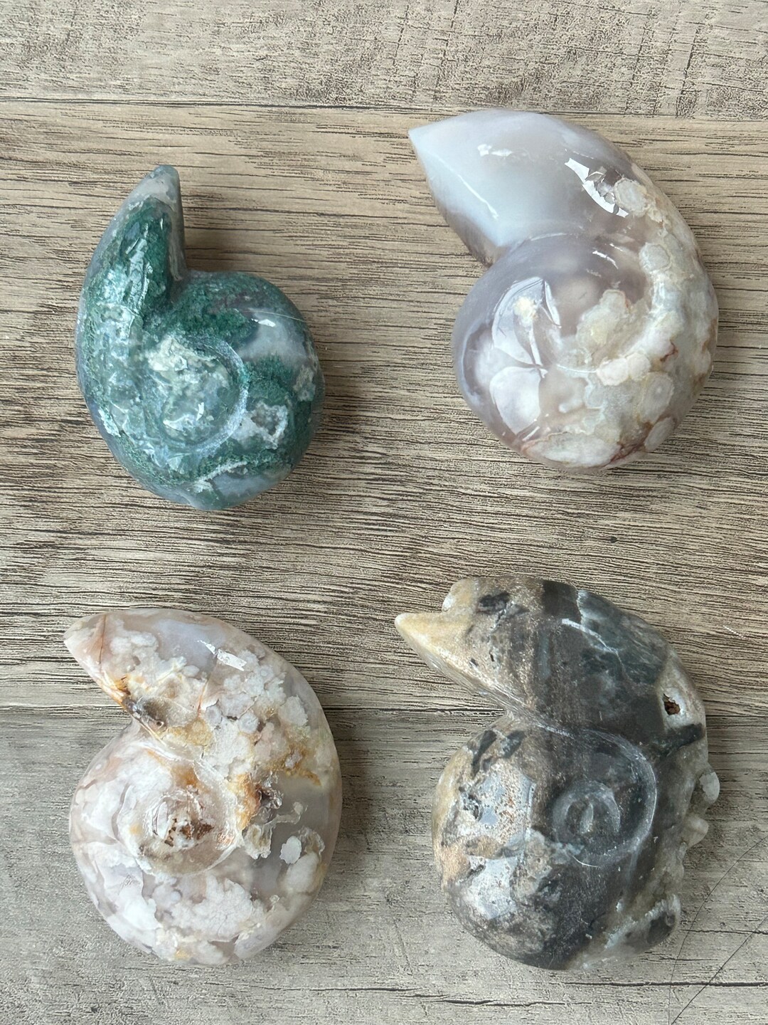 Crystal Ammonite Moss Agate Shell Flower Agate Shell Druzy Sphalerite ...