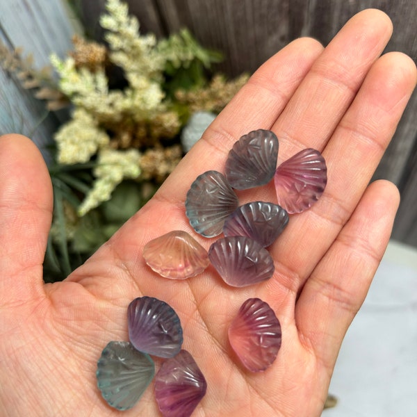 Mini candy fluorite seashells | Mini Crystals | Rainbow Fluorite | Crystal Seashells | Crystals for Grids | Natural Crystals | Gifts