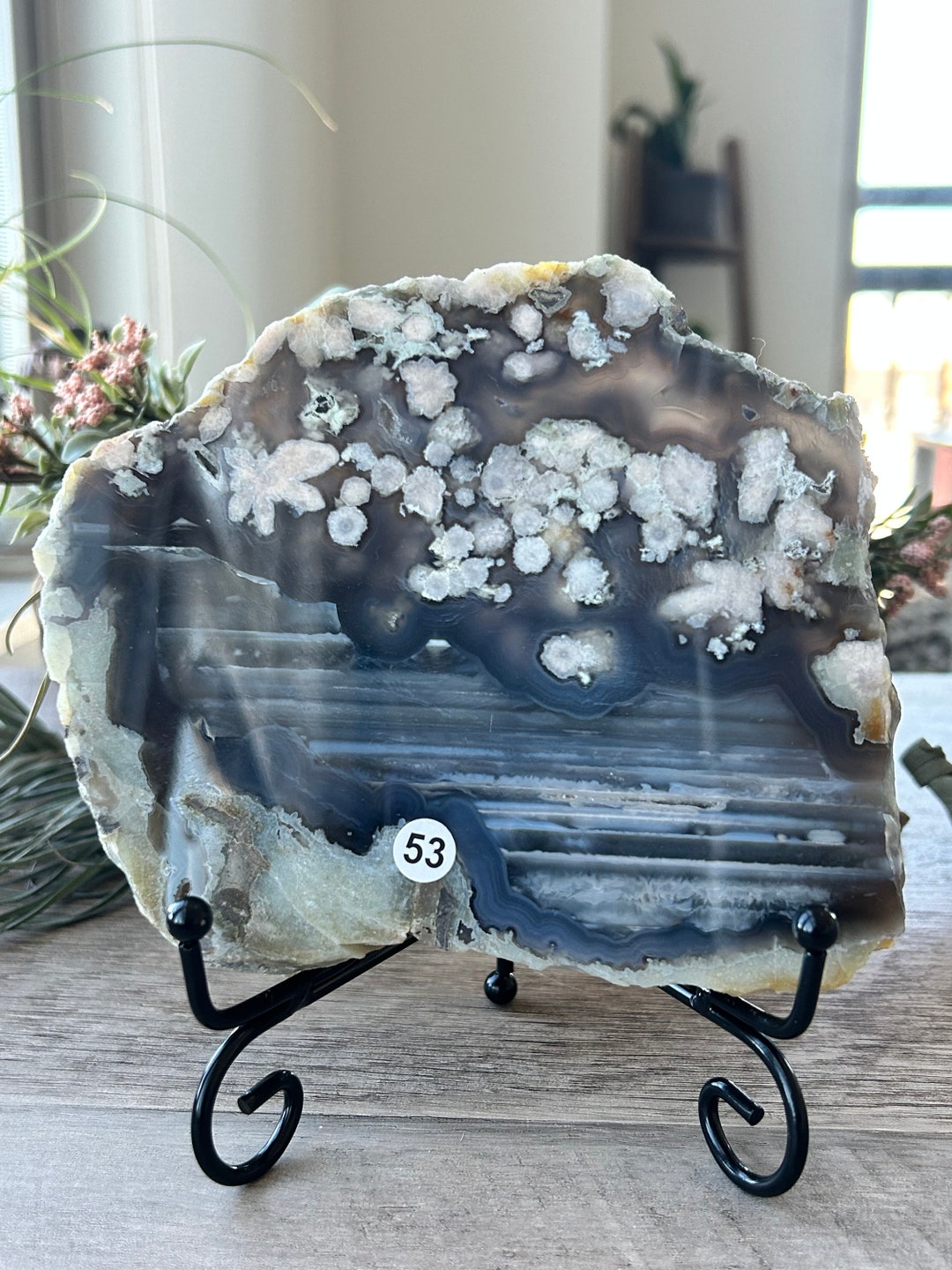 Rare and Stunning Black Flower Agate Slab Flower Agate Slab Druzy Black