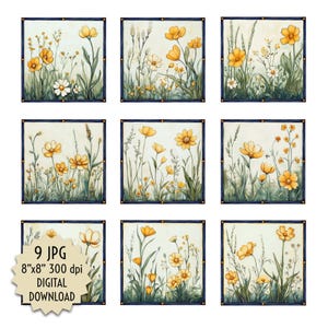 May include: Nine digital images of yellow wildflowers in a field. Each image is 8 inches by 8 inches and 300 dpi.