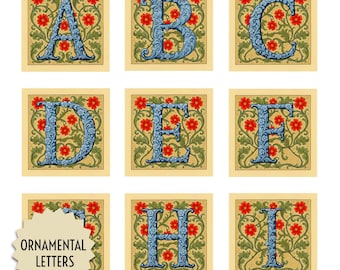 A-Z Initial Letters, Medieval Floral Alphabet, Illuminated Manuscript Style, Red Flowers and Green Leaves, Digital Download JPG 8x8" 300 dpi