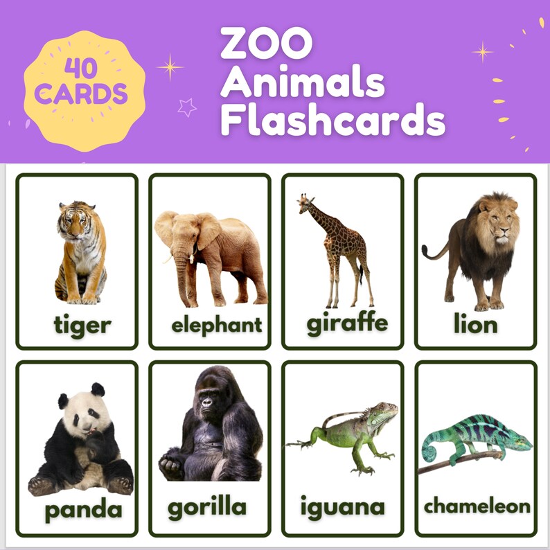 40 Zoo Animals Flashcards Kids Printable Nomenclature Cards ESOL