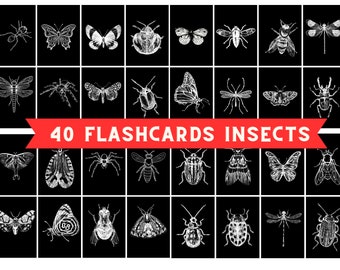 40 Insects Black and White Flashcards Instant Download Montessori Flashcards Biology Flashcards Insects Cards Sketch Insects Visual Cards
