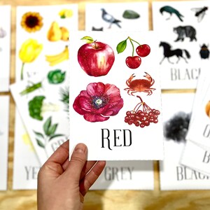 Farben in der Natur Flash Karten für Kinder, Montessori Englisch PDF Lehrmittel, Kinder Lernspielzeug Montessori Karten, Wald Schulmittel Farben