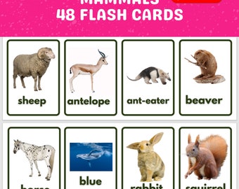 Monntessori cards to teach your child about mammals with real picture flash cards 46 Animal Flash Cards for Montessori education Homeschool