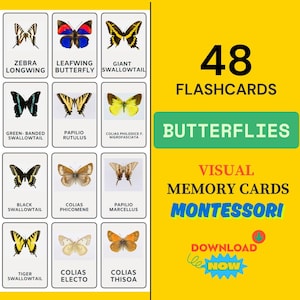 Flashcard sulle farfalle Studio delle farfalle Risorse stampabili Montessori Schede di nomenclatura delle farfalle del mondo Schede fotografiche per il momento di tranquillità dei bambini