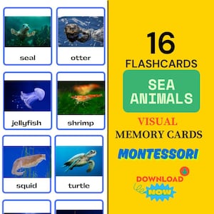 Cartes Flash sur les animaux marins avec de vraies photos, Études d'anglais