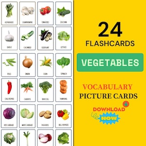 Vegetable Flashcards for toddlers Montessori Cards Vegetables Vocabulary Nomenclature Cards Vegetables Photo Cards for Homeschool English
