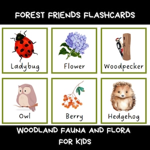 Juego de memoria con tarjetas didácticas de animales y naturaleza para niños, tarjetas didácticas de la naturaleza, juego de vocabulario, juego de correspondencias, tarjetas de juego Montessori, bosque