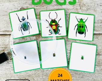 Juego de correspondencias con lupa de insectos, Montessori en casa usando lupa, actividad de aumento para preescolar y jardín de infantes