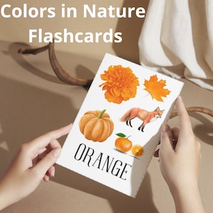 Könnte beinhalten: Orangefarbene Lernkarten mit Bildern von einem Kürbis, einer Ringelblume, einem Fuchs und Orangenscheiben. Das Wort "ORANGE" ist in Schwarz am unteren Rand der Karte gedruckt.
