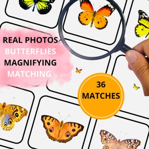 Juego de lupa con mariposas, zoología Montessori, lupa, actividad de aumento para preescolar y jardín de infantes, tarjetas con mariposas