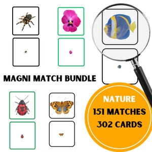 Lot Magni Match, Imprimables pour enfants d'âge préscolaire, Montessori à la maison, Utilisation d'une loupe pour les enfants, temps calme, Jeu loupe, Prek de la maternelle