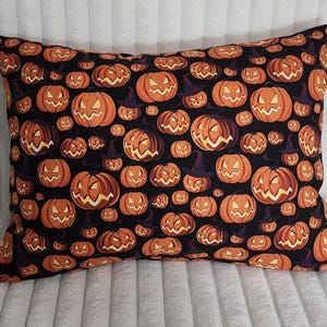Halloween Pillowcase/Covers / 10 Sizes to Choose From/ Envelope Closure/ 100% Cotton