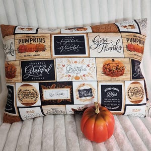 May include: A rectangular throw pillow featuring a grid pattern of various autumn-themed designs, including illustrations of pumpkins, fall foliage, and text such as Give Thanks, Grateful, and Farm-Fresh Pumpkins, paired with a single orange pumpkin.