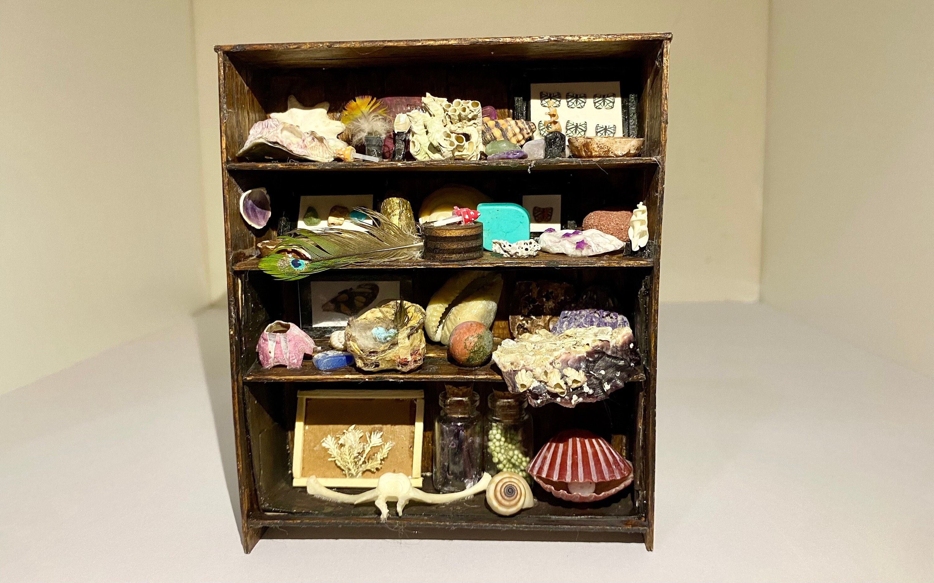 Minature Cabinet of Curiosities | Wunderkammer | Curiosities