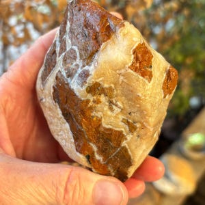 Brecciated Yellow Jasper Rough Stone