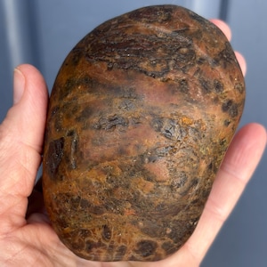 Large Brecciated Jasper River Cobble Rough Stone
