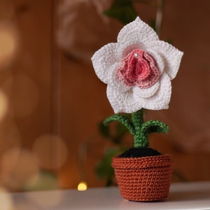 Häkelanleitung Blume des Lebens, Amigurumi Vulva Rose im Topf, Girlpower Pflanze Häkelanleitung PDF für Erwachsene