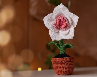 Crochet PATTERN Flower of Life, Amigurumi vulva rose in a pot, Crochet girlpower plant PDF tutorial for adults