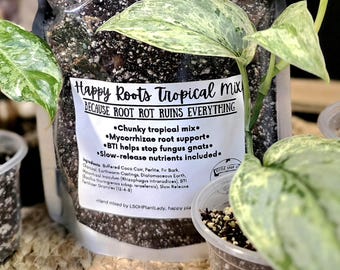 Chunky Tropical Potting - Tropical Aroid Soil - Root Rot Resistant Mix - BTI for Fungus Gnats - Mycorrhizae Enriched Soil - Monstera Soil