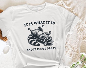 It Is What It Is And It's Not Great Shirt, Meme Shirt, Vintage Shirt, Raccoon Shirt, Mental Health Shirt, Funny T-shirt