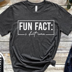 Fun Fact I Don't Care Shirt, Funny Saying Sweatshirt, Funny Mom Shirt, Funny Sarcastic Shirt,  Dont Care Shirt, Insprational Tee, Funny