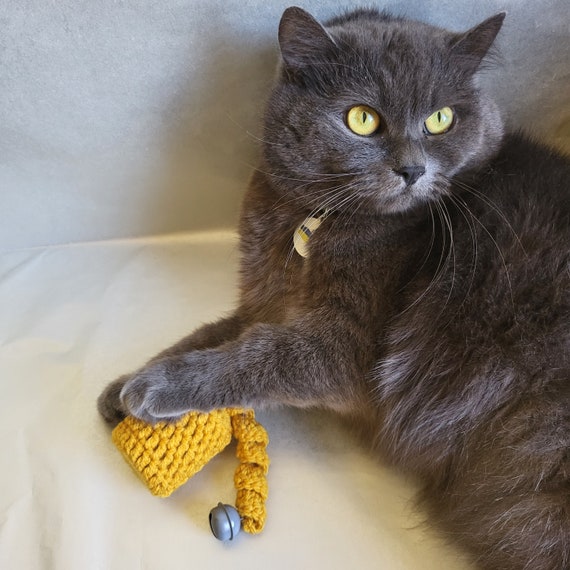 Cat toy noise 2025